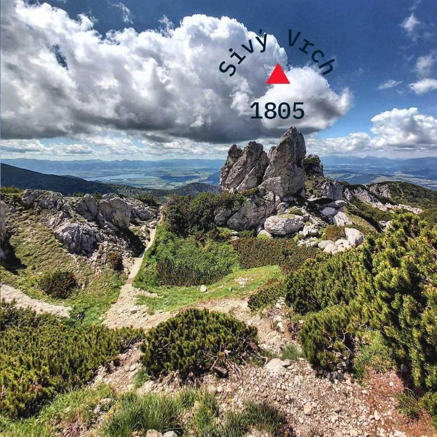Malinovy Sen Bed and Breakfast Habovka Εξωτερικό φωτογραφία