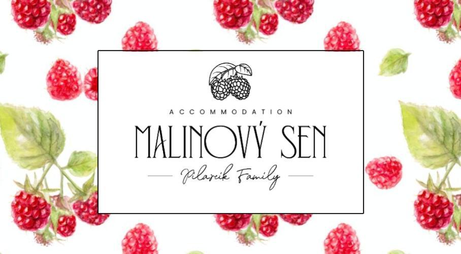 Malinovy Sen Bed and Breakfast Habovka Εξωτερικό φωτογραφία